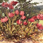Ann Willsie Wild Poppies 30x40