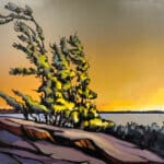 Jerzy Werbel Windswept Pine Stories 48x60