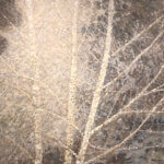 Fiona Hoop Hush 60x48