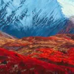 Dominik Modlinski First Snow