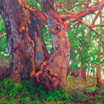 Dominik Modlinski The Ancient One