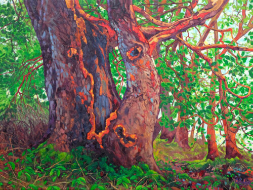 Dominik Modlinski The Ancient One