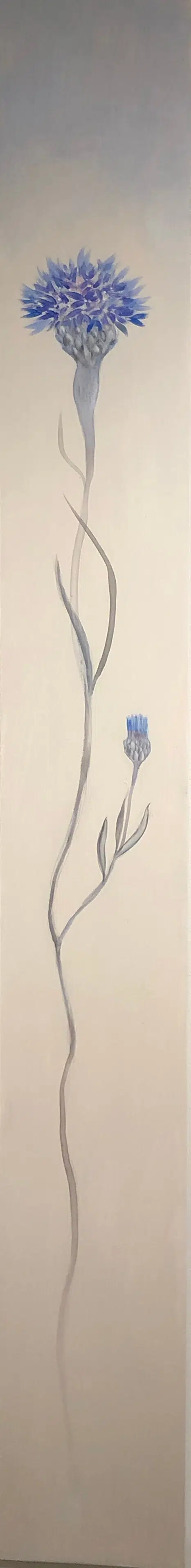 Fiona Hoop Cornflower Iris II 60x6