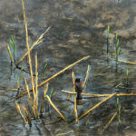 Sam Paonessa Prelude to Spring 18x18