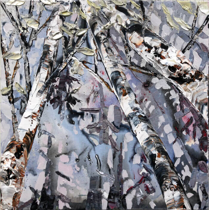 Maya Eventov Spectrum Birch Looking Up 2 16x16