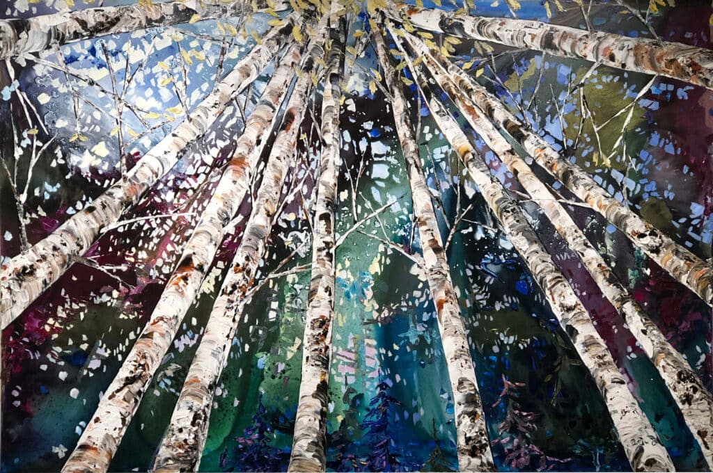 Spectrum Birch Looking Up 1