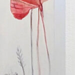 Fiona Hoop Poppies 60x6