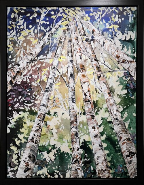 ME Spectrum Looking Up Birch 2 48x36 LGFDB83181