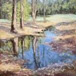 Ann Willsie Central Park Reflections 30x24