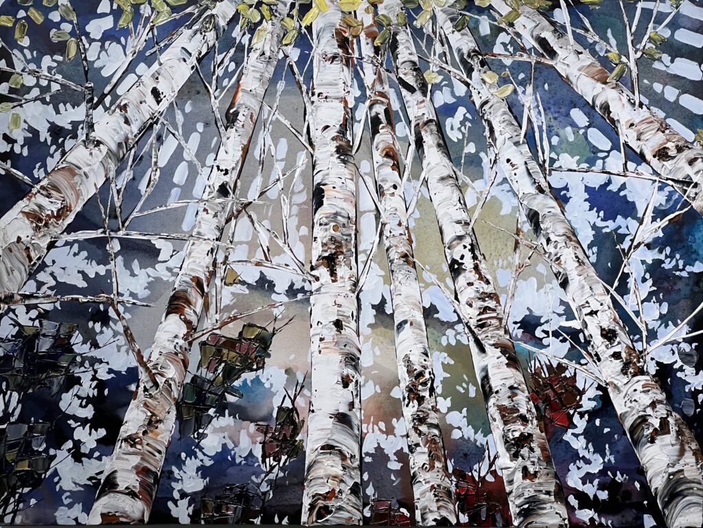 Birch Spectrum Looking Up