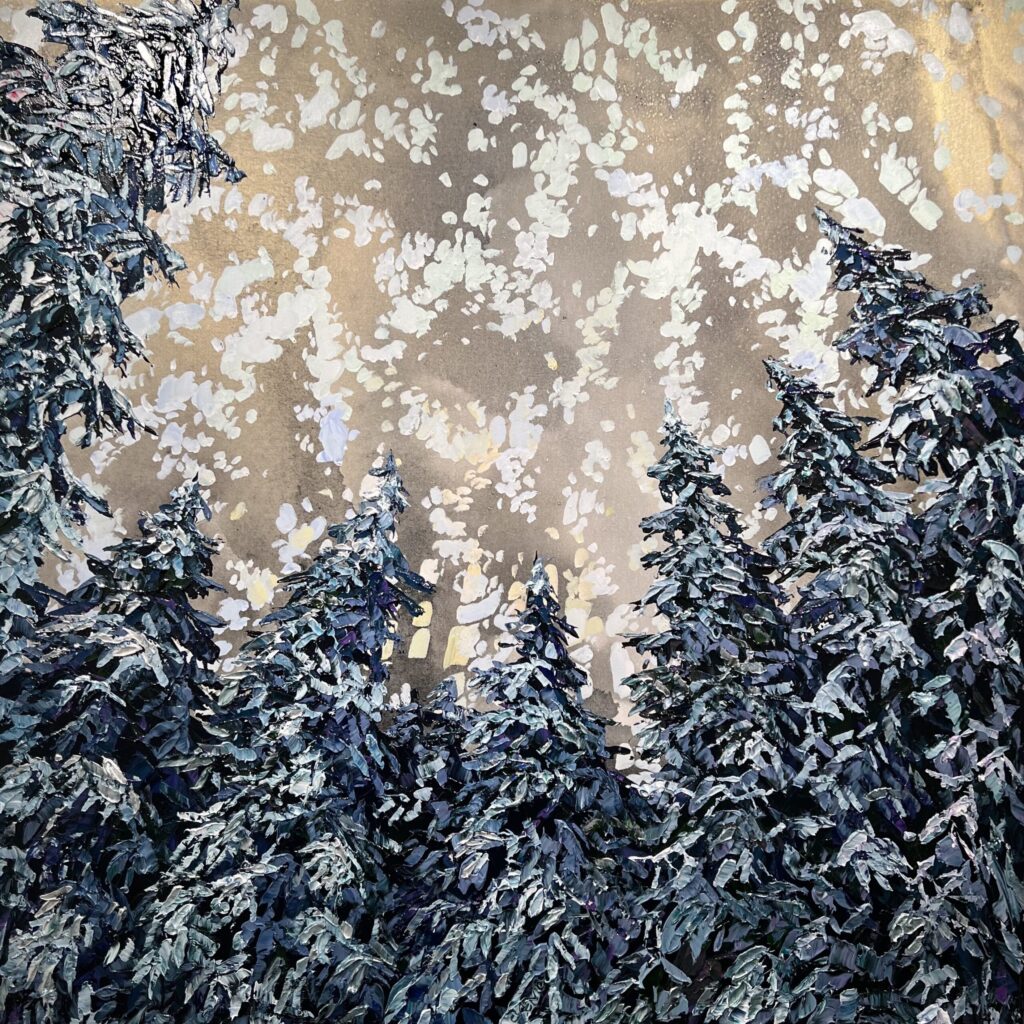 Looking Spectrum Spruce Forest