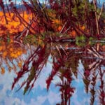 Dominik Modlinski Calm Waters 48x24