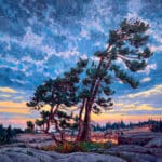 Dominik Modlinski Golden Hour Georgian Bay 36x36