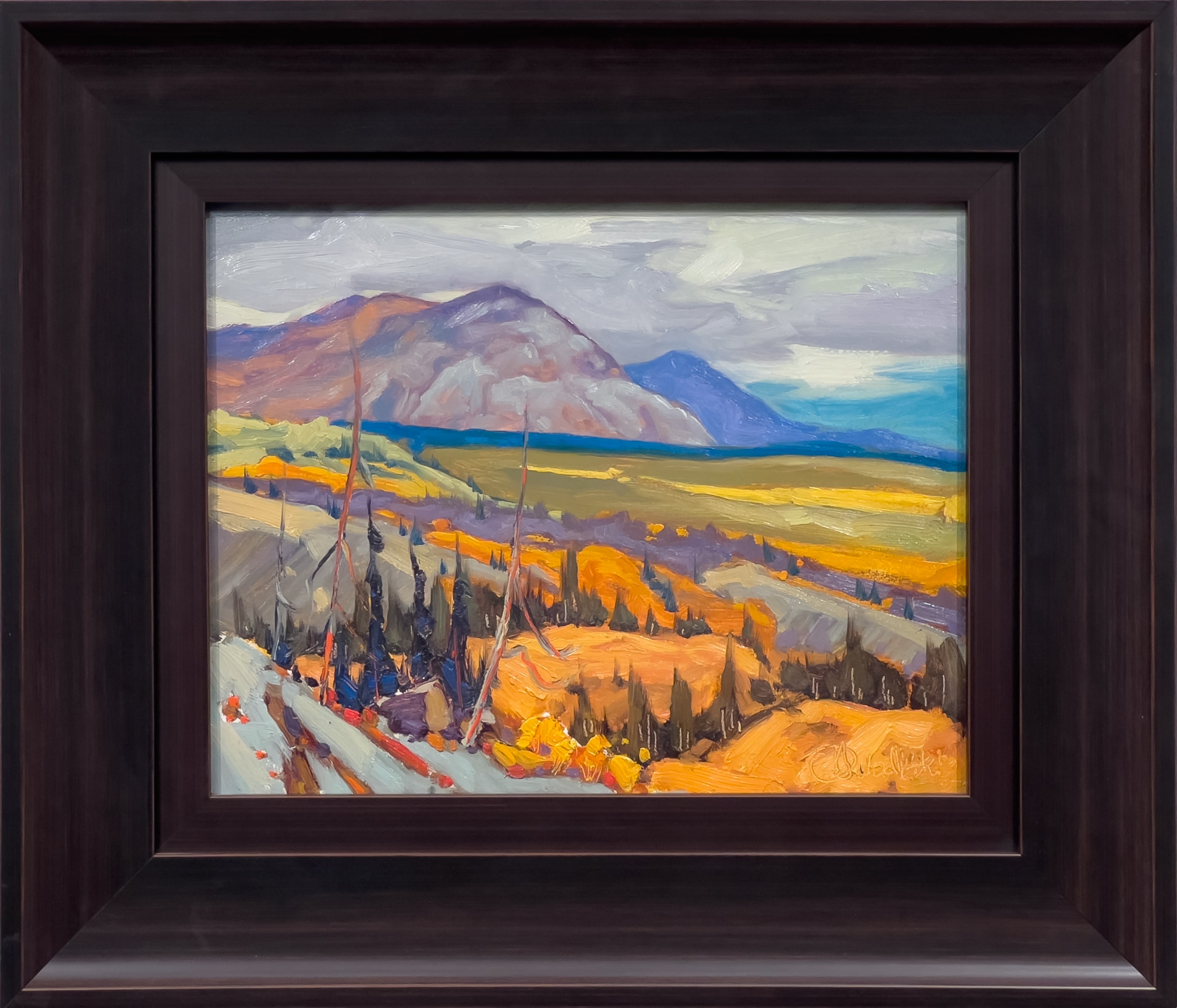 Dominik Modlinski Overlookin Haines Junction Yukon 11x14 Framed