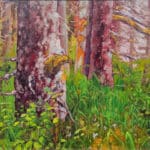 Dominik Modlinski Primeval Forest SE Alaska 16x20