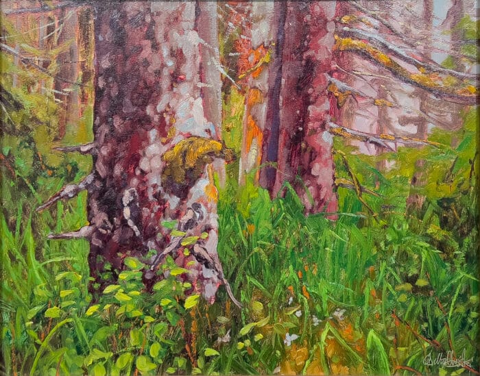 Dominik Modlinski Primeval Forest SE Alaska 16x20