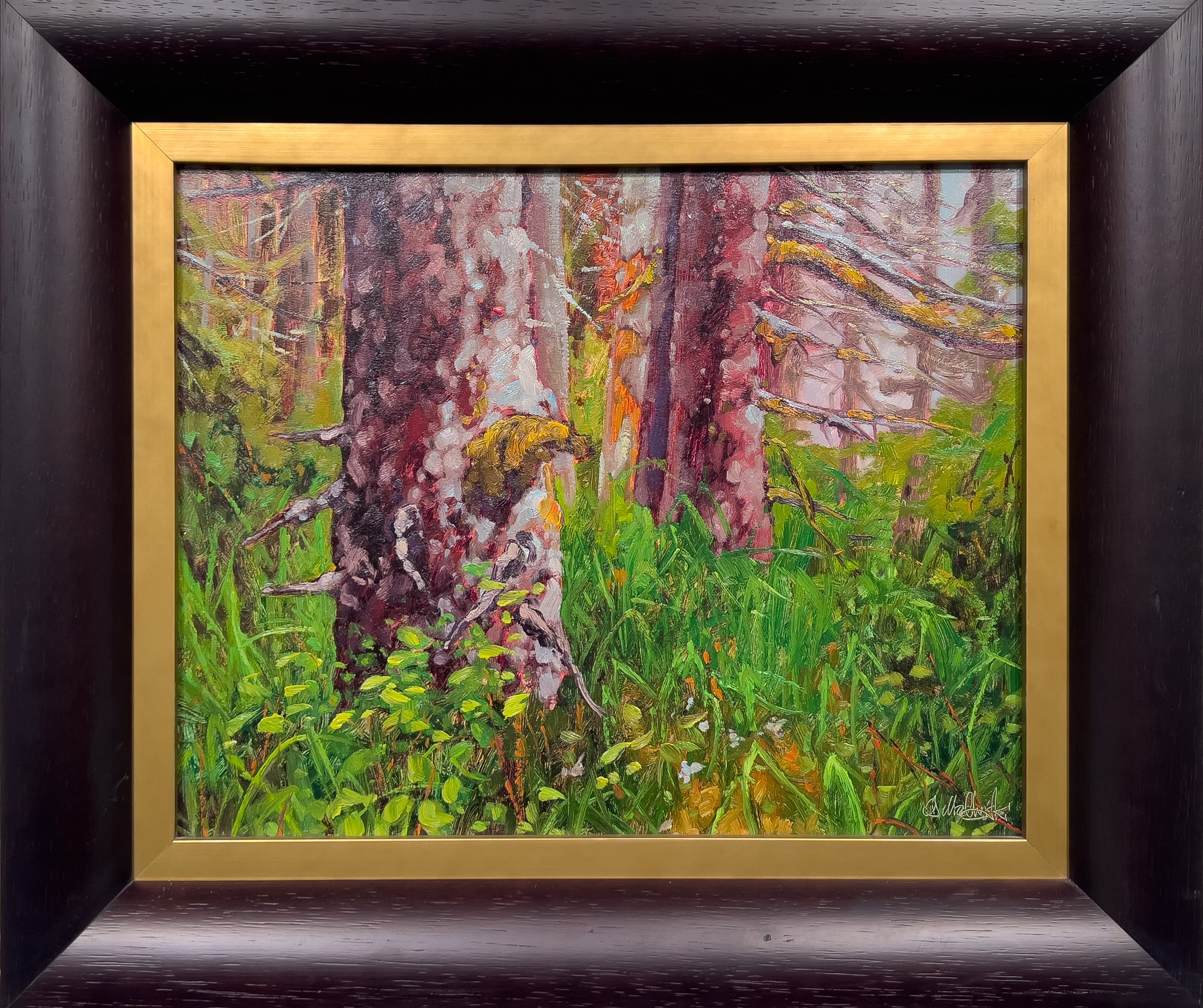 Dominik Modlinski Primeval Forest SE Alaska 16x20 Framed