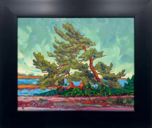 Dominik Modlinski Windswept 16x20 Framed