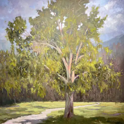 Ann Willsie Changing Seasons II Eucalyptus 48x48