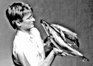 Steve Aikenhead (1951 - 2023)