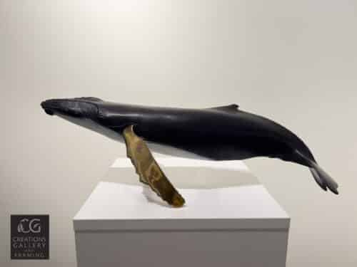 Steve Aikenhead Solo Singer