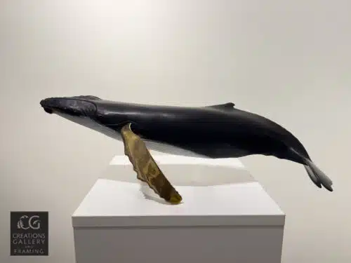 Steve Aikenhead Solo Singer