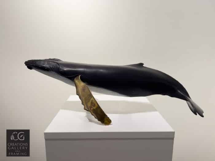 Steve Aikenhead Solo Singer