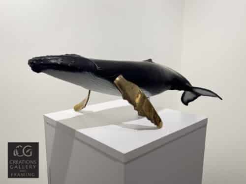 Steve Aikenhead Solo Singer Detail 2