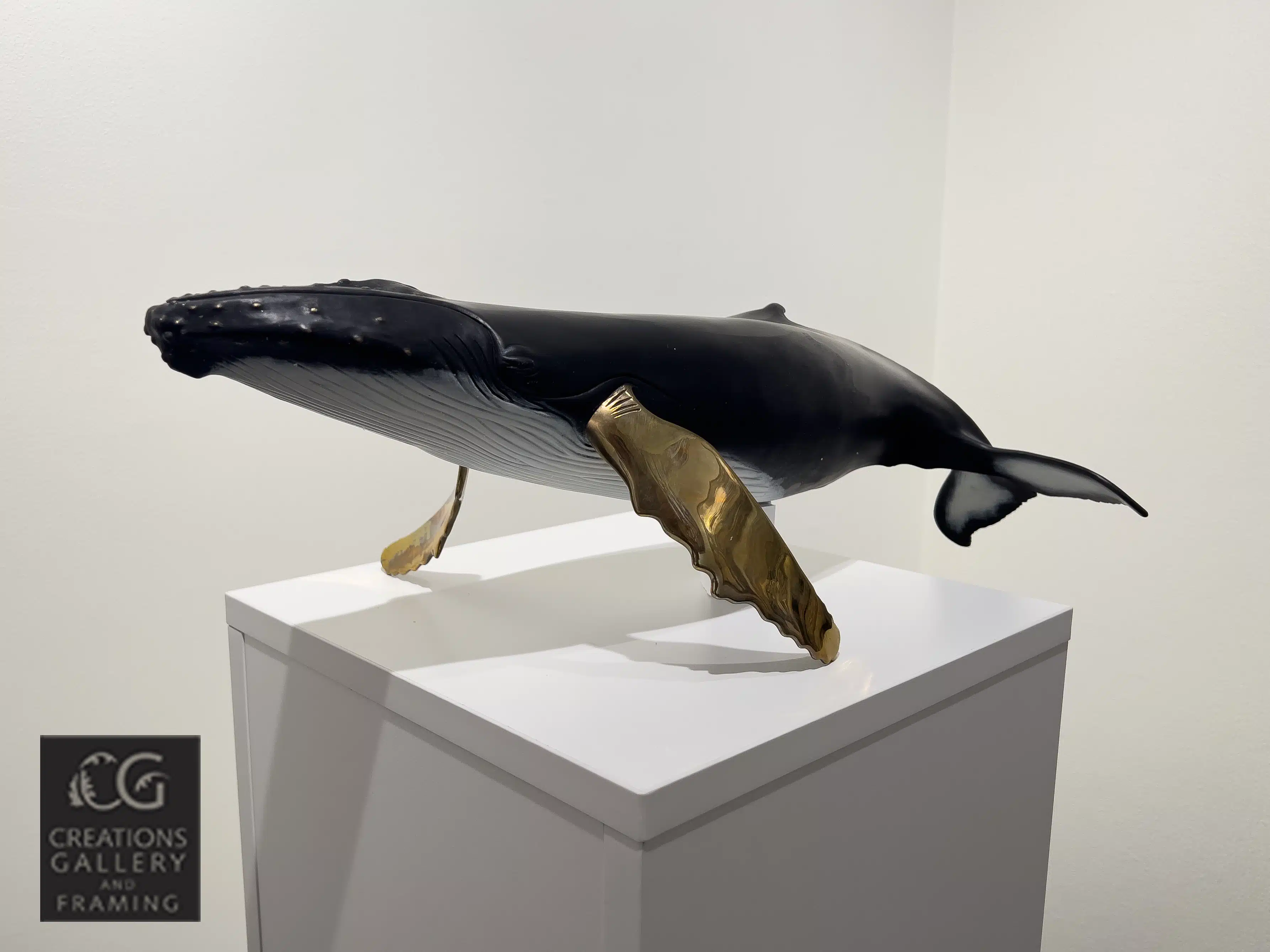 Steve Aikenhead Solo Singer Detail 2