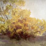 Ann Willsie Changing Seasons IV 48x48
