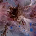 Jeff Vermeeren Geranium 20x72