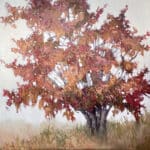Ann Willsie Changing Seasons V 48x48