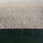 Original abstract acrylic painting Le messager by Canadian artist Aro, 48 by 48 inches, a champagne knife-stroke field over a deep forest green horizon